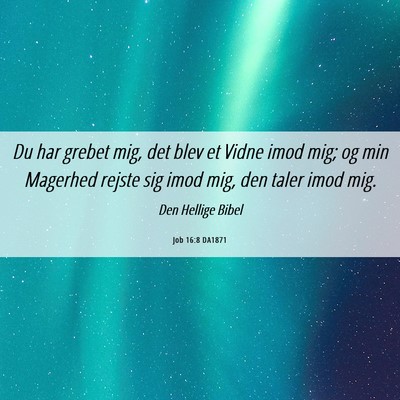 Picture 06 - Job 16:8 DA1871 - Du har grebet mig, det blev et Vidne imod mig; og - Bible Verse Picture