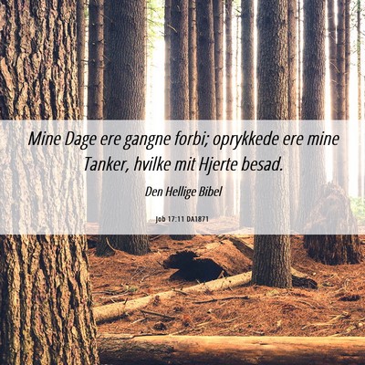 Picture 06 - Job 17:11 DA1871 - Mine Dage ere gangne forbi; oprykkede ere mine - Bible Verse Picture
