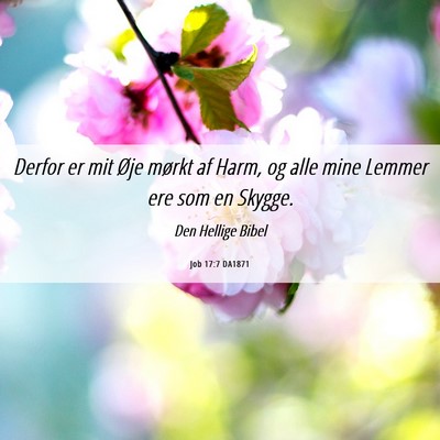 Picture 06 - Job 17:7 DA1871 - Derfor er mit Øje mørkt af Harm, og alle mine - Bible Verse Picture