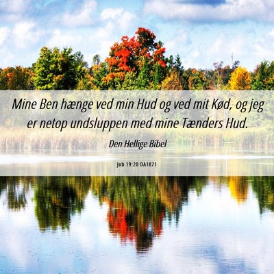 Picture 06 - Job 19:20 DA1871 - Mine Ben hænge ved min Hud og ved mit Kød, og - Bible Verse Picture