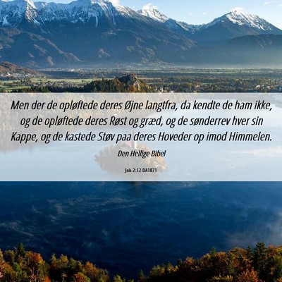 Picture 06 - Job 2:12 DA1871 - Men der de opløftede deres Øjne langtfra, da - Bible Verse Picture