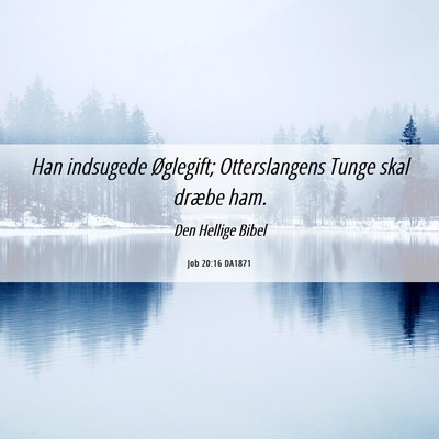 Picture 06 - Job 20:16 DA1871 - Han indsugede Øglegift; Otterslangens Tunge skal - Bible Verse Picture