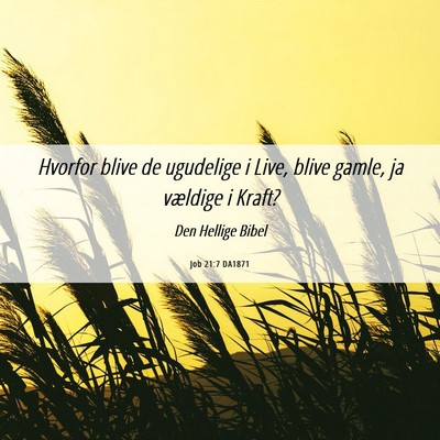 Picture 06 - Job 21:7 DA1871 - Hvorfor blive de ugudelige i Live, blive gamle, - Bible Verse Picture