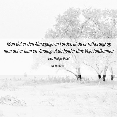 Picture 06 - Job 22:3 DA1871 - Mon det er den Almægtige en Fordel, at du er - Bible Verse Picture