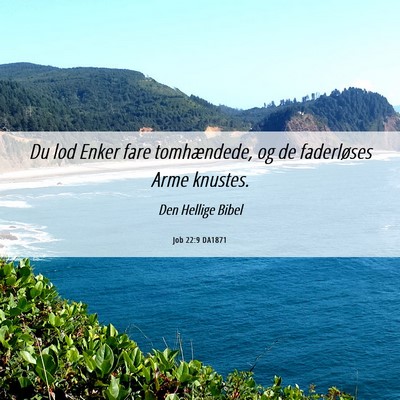 Picture 06 - Job 22:9 DA1871 - Du lod Enker fare tomhændede, og de faderløses - Bible Verse Picture