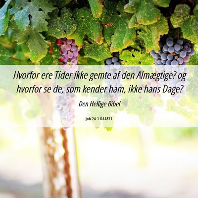 Picture 06 - Job 24:1 DA1871 - Hvorfor ere Tider ikke gemte af den Almægtige? - Bible Verse Picture