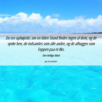 Picture 06 - Job 24:24 DA1871 - De ere ophøjede; om en liden Stund findes ingen - Bible Verse Picture
