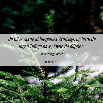 Picture 06 - Job 24:8 DA1871 - De blive vaade af Bjergenes Vandskyl, og fordi de - Bible Verse Picture