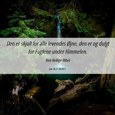 Picture 06 - Job 28:21 DA1871 - Den er skjult for alle levendes Øjne, den er og - Bible Verse Picture