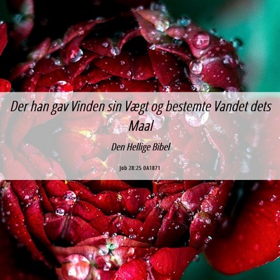 Picture 06 - Job 28:25 DA1871 - Der han gav Vinden sin Vægt og bestemte Vandet - Bible Verse Picture