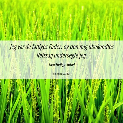 Picture 06 - Job 29:16 DA1871 - Jeg var de fattiges Fader, og den mig ubekendtes - Bible Verse Picture
