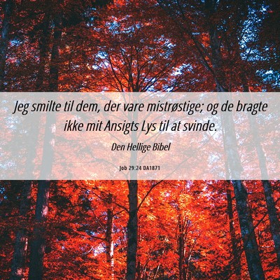 Picture 06 - Job 29:24 DA1871 - Jeg smilte til dem, der vare mistrøstige; og de - Bible Verse Picture