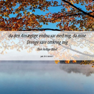 Picture 06 - Job 29:5 DA1871 - da den Almægtige endnu var med mig, da mine - Bible Verse Picture