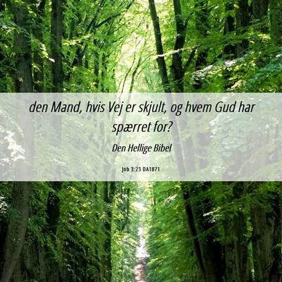 Picture 06 - Job 3:23 DA1871 - den Mand, hvis Vej er skjult, og hvem Gud har - Bible Verse Picture