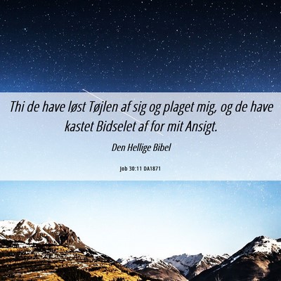 Picture 06 - Job 30:11 DA1871 - Thi de have løst Tøjlen af sig og plaget mig, - Bible Verse Picture
