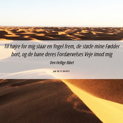 Picture 06 - Job 30:12 DA1871 - Til højre for mig staar en Yngel frem, de støde - Bible Verse Picture