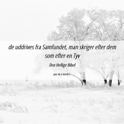 Picture 06 - Job 30:5 DA1871 - de uddrives fra Samfundet, man skriger efter dem - Bible Verse Picture