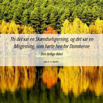 Picture 06 - Job 31:11 DA1871 - Thi det var en Skændselsgerning, og det var en - Bible Verse Picture