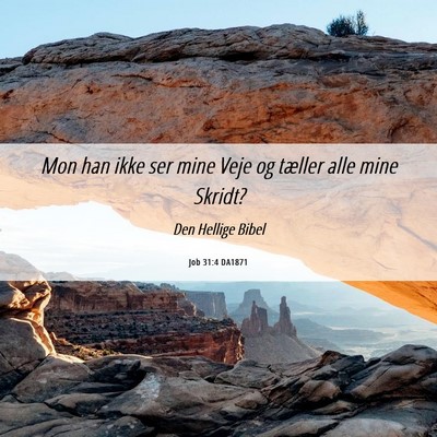 Picture 06 - Job 31:4 DA1871 - Mon han ikke ser mine Veje og tæller alle mine - Bible Verse Picture