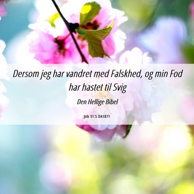 Picture 06 - Job 31:5 DA1871 - Dersom jeg har vandret med Falskhed, og min Fod - Bible Verse Picture