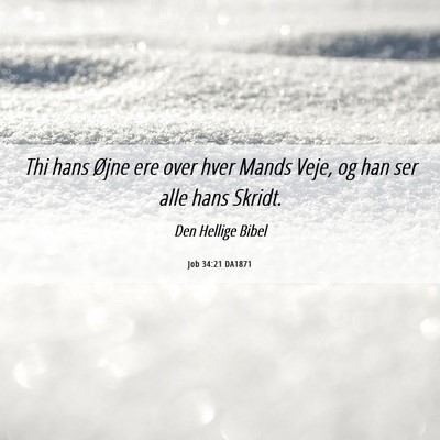 Picture 06 - Job 34:21 DA1871 - Thi hans Øjne ere over hver Mands Veje, og han - Bible Verse Picture