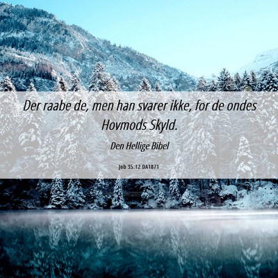 Picture 06 - Job 35:12 DA1871 - Der raabe de, men han svarer ikke, for de ondes - Bible Verse Picture