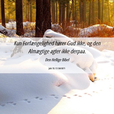 Picture 06 - Job 35:13 DA1871 - Kun Forfængelighed hører Gud ikke, og den - Bible Verse Picture