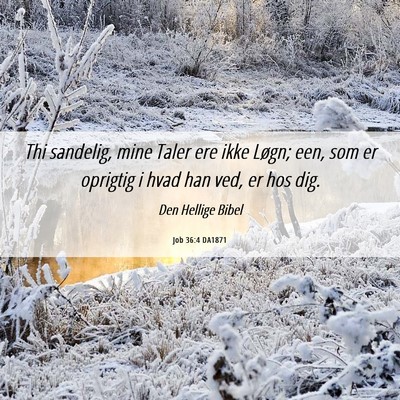 Picture 06 - Job 36:4 DA1871 - Thi sandelig, mine Taler ere ikke Løgn; een, som - Bible Verse Picture