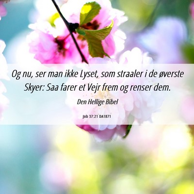 Picture 06 - Job 37:21 DA1871 - Og nu, ser man ikke Lyset, som straaler i de - Bible Verse Picture