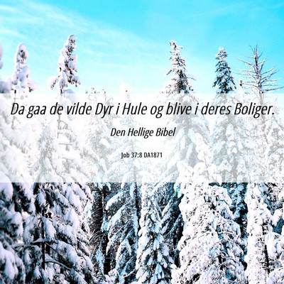 Picture 06 - Job 37:8 DA1871 - Da gaa de vilde Dyr i Hule og blive i deres - Bible Verse Picture