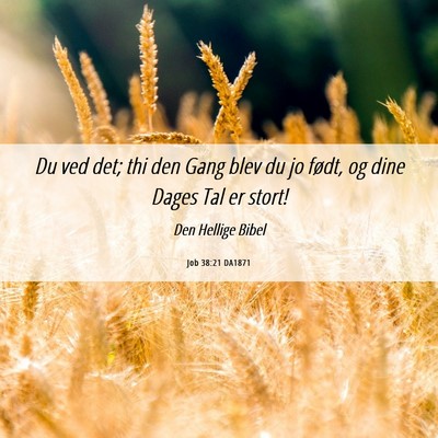 Picture 06 - Job 38:21 DA1871 - Du ved det; thi den Gang blev du jo født, og - Bible Verse Picture
