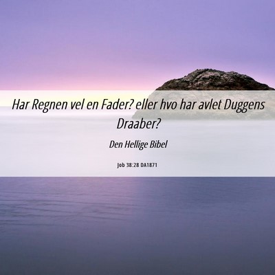 Picture 06 - Job 38:28 DA1871 - Har Regnen vel en Fader? eller hvo har avlet - Bible Verse Picture