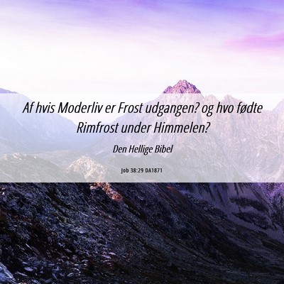 Picture 06 - Job 38:29 DA1871 - Af hvis Moderliv er Frost udgangen? og hvo fødte - Bible Verse Picture