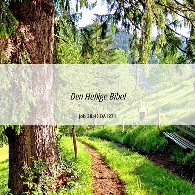 Picture 06 - Job 38:40 DA1871 -  - Bible Verse Picture