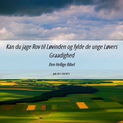 Picture 06 - Job 39:1 DA1871 - Kan du jage Rov til Løvinden og fylde de unge - Bible Verse Picture