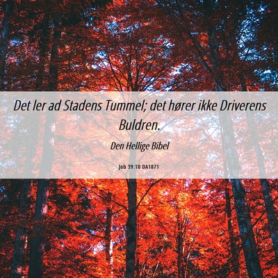 Picture 06 - Job 39:10 DA1871 - Det ler ad Stadens Tummel; det hører ikke - Bible Verse Picture