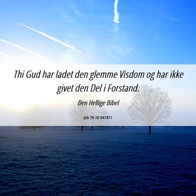 Picture 06 - Job 39:20 DA1871 - Thi Gud har ladet den glemme Visdom og har ikke - Bible Verse Picture