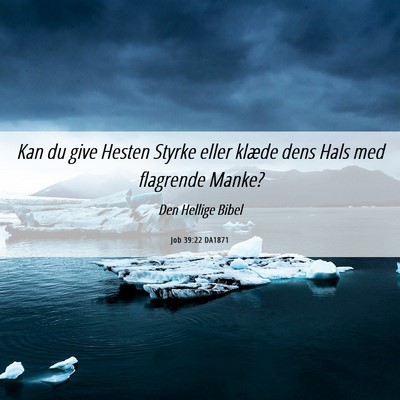 Picture 06 - Job 39:22 DA1871 - Kan du give Hesten Styrke eller klæde dens Hals - Bible Verse Picture