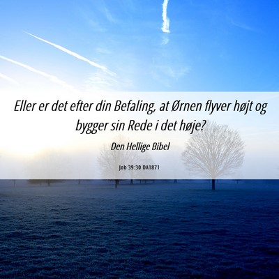 Picture 06 - Job 39:30 DA1871 - Eller er det efter din Befaling, at Ørnen flyver - Bible Verse Picture
