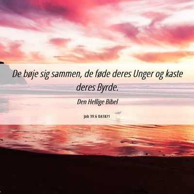 Picture 06 - Job 39:6 DA1871 - De bøje sig sammen, de føde deres Unger og - Bible Verse Picture