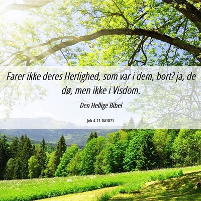 Picture 06 - Job 4:21 DA1871 - Farer ikke deres Herlighed, som var i dem, bort? - Bible Verse Picture