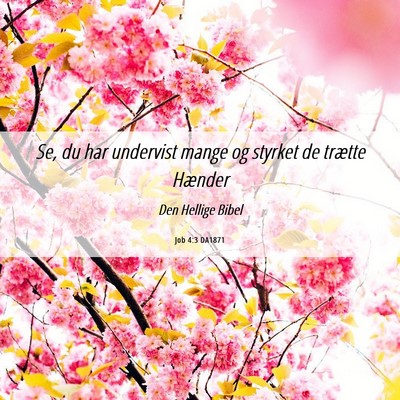 Picture 06 - Job 4:3 DA1871 - Se, du har undervist mange og styrket de trætte - Bible Verse Picture