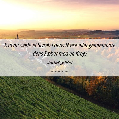 Picture 06 - Job 40:21 DA1871 - Kan du sætte et Sivreb i dens Næse eller - Bible Verse Picture