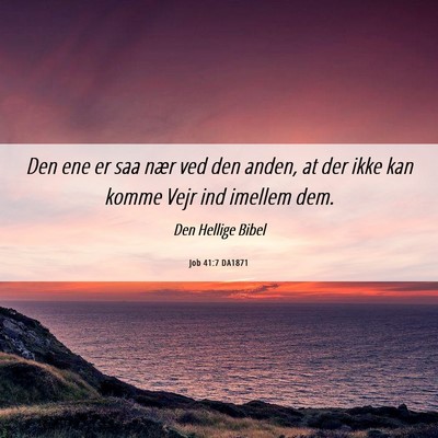 Picture 06 - Job 41:7 DA1871 - Den ene er saa nær ved den anden, at der ikke - Bible Verse Picture
