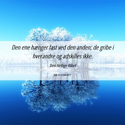 Picture 06 - Job 41:8 DA1871 - Den ene hænger fast ved den anden; de gribe i - Bible Verse Picture