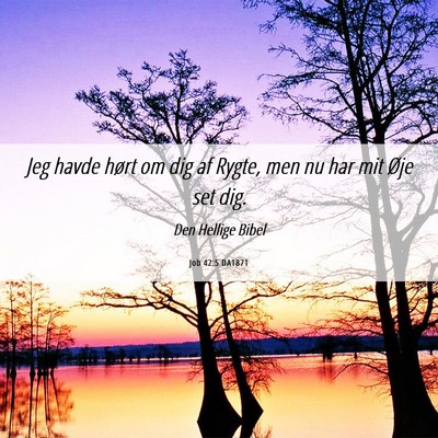 Picture 06 - Job 42:5 DA1871 - Jeg havde hørt om dig af Rygte, men nu har mit - Bible Verse Picture