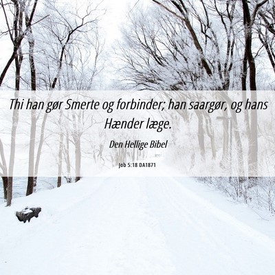 Picture 06 - Job 5:18 DA1871 - Thi han gør Smerte og forbinder; han saargør, - Bible Verse Picture