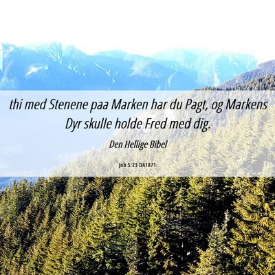 Picture 06 - Job 5:23 DA1871 - thi med Stenene paa Marken har du Pagt, og - Bible Verse Picture