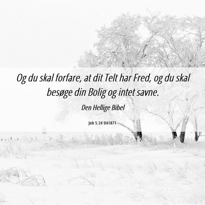 Picture 06 - Job 5:24 DA1871 - Og du skal forfare, at dit Telt har Fred, og du - Bible Verse Picture