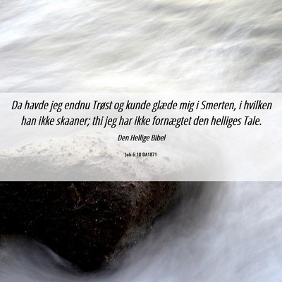 Picture 06 - Job 6:10 DA1871 - Da havde jeg endnu Trøst og kunde glæde mig i - Bible Verse Picture